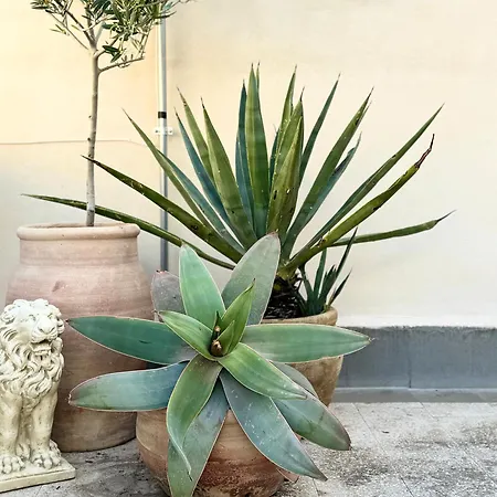 Casa Rossini 度假居 阿沃拉